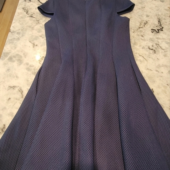 Julien Jordan Flare Dress - Picture 6 of 11